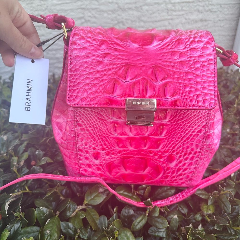 Pink Brahmin Bag